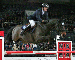 Mit dem Caretino-Sohn Cavity G platzierte sich Holger Wulschner zweimal. Foto: Tauchnitz